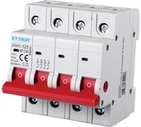 ETTROIT INTERRUTTORE DI ISOLAMENTO SEZIONATORE 4P 40A 380V