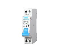 ETTROIT INTERRUTTORE MAGNETOTERMICO DIFFERENZIALE SALVAVITA PER BARRA DIN 1 MODULO 1P+N 30mA 220V-6KA (32 AMPERE)