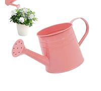 ETUCYNG Piccola scatola di irrigazione, irrigazione interna può,1 l irrigazione esterna può con un lungo | vaso di fioriera in metallo, secchio di layout dei fiori per serra