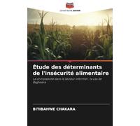 Étude des déterminants de l'insécurité alimentaire: La comptabilité dans le secteur informel : le cas de Bagheera