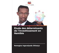 Étude des déterminants de l'investissement en Namibie