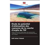 Étude du potentiel d'atténuation des cyanures de la couche d'argile du TSF: Étude du potentiel d'atténuation des cyanures des matériaux sous-jacents du TSF chez GoldFields Ghana, Ltd, à Tarkwa