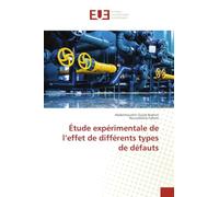 Étude expérimentale de l'effet de différents types de défauts