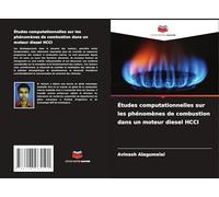 Études computationnelles sur les phénomènes de combustion dans un moteur diesel HCCI