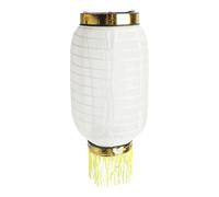 ETUELNOPT Lanterna Tradizionale Ovale in Seta, Lanterne Pendenti Pieghevoli Impermeabili in Tessuto di Seta Cinese Bianco con Nappe 15x15x21 cm 10 Pezzi