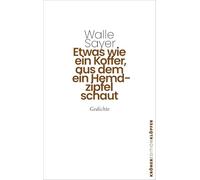 Etwas wie ein Koffer, aus dem ein Hemdzipfel schaut: Gedichte