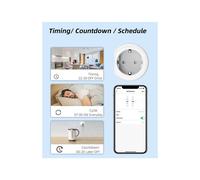 EU Tuya ZigBee Plug 20A Socket APP Remote Control Timing Monitor Power Consumption for Alexa Home EU Plug