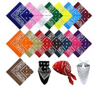 Euablfo 15 Pezzi Bandanas per Paisley, Bandana Uomo Donna Bambino, Bandane Colorate per Capelli, Collo, Testa, Sciarpa Fazzoletti da Taschino, per Donna, Uomo Testa Sciarpa Accessorio di Moda