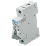EUC1P6B Circuito Interruttore, 1 Palo, 6a, 230vac