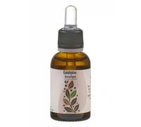 Eucalipto - 30 ml