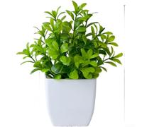 Eucalipto artificiale, pianta in vaso in plastica, decorazione per interni ed esterni, piccola pianta decorativa in vaso (E)