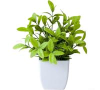 Eucalipto artificiale, pianta in vaso, in plastica, decorazione per interni ed esterni, simulazione di piccole piante decorative in vaso (C)