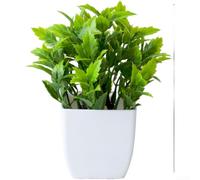 Eucalipto artificiale, pianta in vaso in plastica, decorazione per interni ed esterni, simulazione di piccole piante decorative (G)