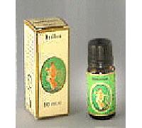 EUCALIPTO BIO OLIO ESS 10ML