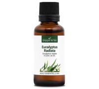 EUCALIPTO RADIATA BIO - 30mL - Olio Essenziale di Qualità Premium - 100% Puro, Naturale, Garantito ChromaCert® - Chemiotipizzato & Integrale