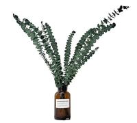 Eucalipto Secco Per Doccia - 10 Pezzi Pianta Naturale Secca Di Eucalipto Decorazione Per Casa | Centrotavola Decorativo Per Bagno, Casa, Salotto, Spa, Salone E Appartamento E Per La