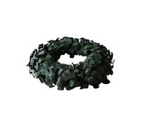 Eucalyptus Halo Green