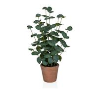 Eucalyptus - Piante artificiali Verde