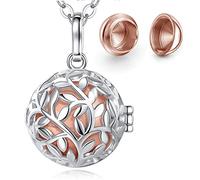 EUDORA Collana con urna per ceneri per donne e uomini, ciondolo in cenere per cani umani e gatti, collana per ceneri di una persona cara, mamma, papà, nonna, nonno, animale domestico, souvenir per