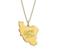EUEAVAN Collana con schizzo della mappa dell'Iran Pendente a forma di cuore vuoto con bandiera iraniana Gioielli patriottici per la pace e la patria persiana (B-Leone persiano, oro)
