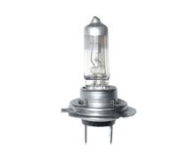 Eufab 13278 lampadina Px26D H7, 12 V, 55 W, Set di 2