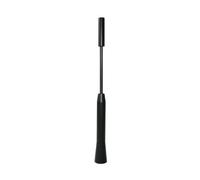 Antenna ad asta per auto Alluminio Nero Eufab 17564