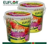 Euflor 2 x 1 kg Concime Langzeit per Vasi, Fioriere, Alberi e Piante
