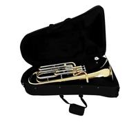 Eufonio Eufonio In Sib A 3 Tasti Con Valvola Verticale Corno Ottone Finitura Laccata Dorata Custodia Rigida