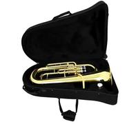 Eufonio Euphonium Baritono Triple Keys Bb Strumenti Musicali Professionali In Ottone Con Borsa Guanti Panni