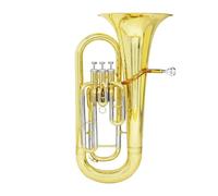 Eufonio Principiante Bb Flat Euphonium Tubo In Ottone Corpo 3 Tasti Baritono Corno Basso Set Di Strumenti Musicali Parti(Type1 730C)
