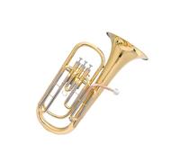Eufonio Principianti Eufonio A Tre Tasti In Si Bemolle Uno Strumento Per Principianti Disponibile Per La Scuola E Per Esibizioni.(Three vertical keys)
