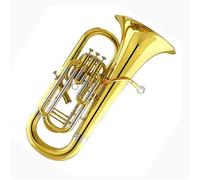 Eufonio Principianti Eufonio Con Supporto Per Chiavi Strumento Professionale Per Principianti Adulti In Sib