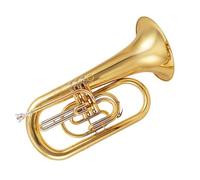 Eufonio Strumenti Musicali Eufonio Da Marcia In Ottone Con Tono Sib Materiale Adatto A Principianti E Professionisti