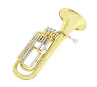 Eufonio Strumenti Musicali Ottone Eufonio B Bemolle Prestazioni Professionali Tuba Principianti Adulti Pratica Corno Baritono Portatile