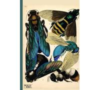 Eugene Alain Seguy Notes: Eugene Alain Seguy Illustrated Insect Notes/Journal