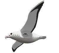 EUGY 097 Albatros Reale. Eco-Friendly 3D Paper Puzzle