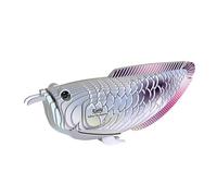 EUGY 124 Arowana Argento Eco-Friendly 3D Paper Puzzle per ragazzi e ragazze. Età 6+