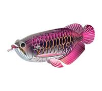 Eugy Asiatica Arowana 3D Modello Kit Artigiano Puzzle Creativo Bambini Gioco New