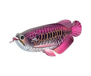 Eugy Asiatica Arowana 3D Modello Kit Artigiano Puzzle Creativo Bambini Gioco New