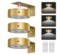 EUIOKUN Confezione da 3 luci per quadri senza fili, a batteria, con telecomando, lampada magnetica con timer, lampada artistica da parete, dimmerabile, per cornici, decorazioni da parete, colore oro