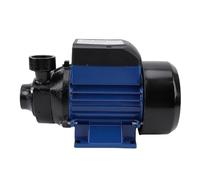 Eujgoov Pompe D'acqua 24 V Alte Sollevamento 230W 1 Pollice per L'irrigazione della Caldaia Agricola Domestica