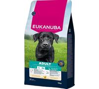 EUKANUBA Adult Large Breeds Chicken 15 kg crocchette per cani adulti di razze grandi ricche di pollo fresco
