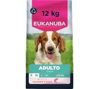 EUKANUBA Cibo secco per Cani con salmone e orzo per razze di taglia piccola e media - Alimento secco premium per Cani adulti, 12 kg