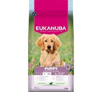 EUKANUBA Cibo secco per Cuccioli con agnello e riso per razze di taglia grande - Alimento secco premium per Cani giovani, 12 kg