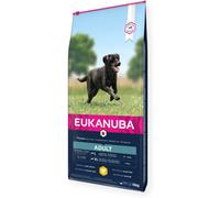 Eukanuba - Cibo premium per cani adulti di taglia grande - 100% completo ed equilibrato - Senza proteine vegetali nascoste, OGM, conservanti o aromi artificiali - 15 kg