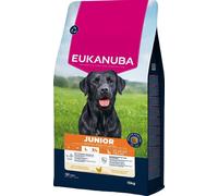 Eukanuba Junior Mangime secco con pollo fresco per razze di taglia grande, mangime secco premium per cani in crescita, 15 kg