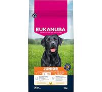Eukanuba Junior Mangime secco con pollo fresco per razze di taglia grande, mangime secco premium per cani in crescita, 15 kg