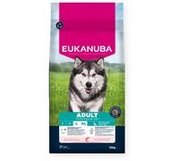 Eukanuba Life Care Adult L/XL crocchette per cani - salmone, orzo 12 kg