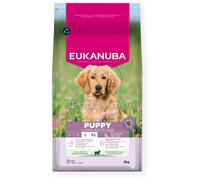 Eukanuba Life Care Puppy L/XL crocchette per cani - agnello, riso 12 kg
