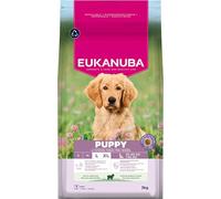 Eukanuba Mangime per cuccioli con agnello e riso per razze di taglia grande, mangime secco premium per cani giovani, 3 kg